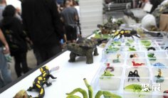 哈姆宠物展2025展位图与展位申请