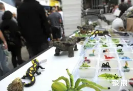 哈姆宠物展展会现场(现场盛况)5