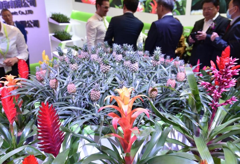 上海花卉园艺展2025时间地点