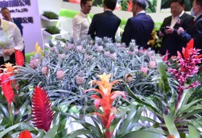 上海花卉园艺展2025时间地点