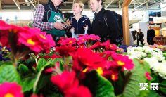 2026年德国花卉园艺展门票哪里买,购买途径?