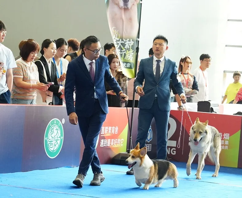 西安宠物展2026时间表及地点