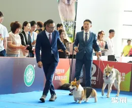 西北寵物用品展展會(huì)現(xiàn)場(chǎng)(現(xiàn)場(chǎng)盛況)4