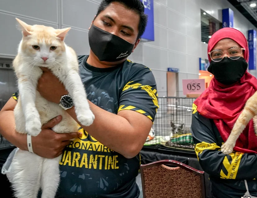 马来西亚宠物展(Pet Expo Malaysia)2026逛展指南：时间地点/门票价格