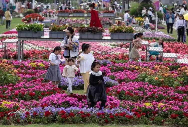 海宁世界花园大会