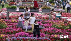 2024海宁园艺展展品有哪些?