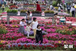 海宁园艺展现场图片7