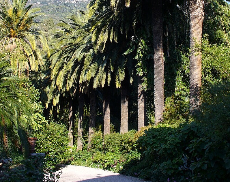 法國巴黎花卉公園實拍