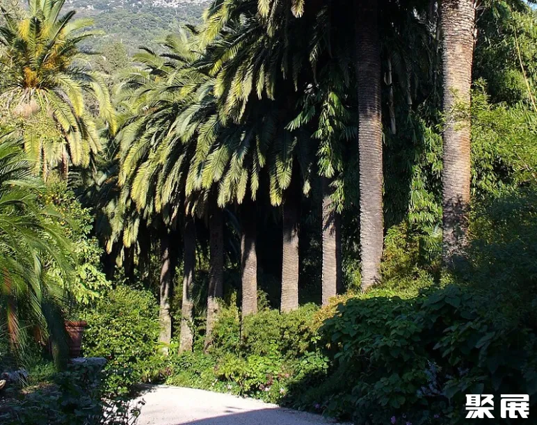 法國巴黎花卉公園實拍