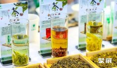 2026西安茶博会(TEAEXPO)会刊如何获取?