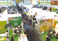 2026德国果蔬展参展攻略(时间+地点+门票怎么买?)