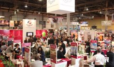 加拿大旅游展2025门票哪里买