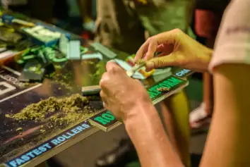 2027南非大麻展 (The Cannabis Expo)观众预登记火热进行中
