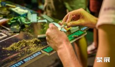 2025南非大麻展观众登记及登记地址