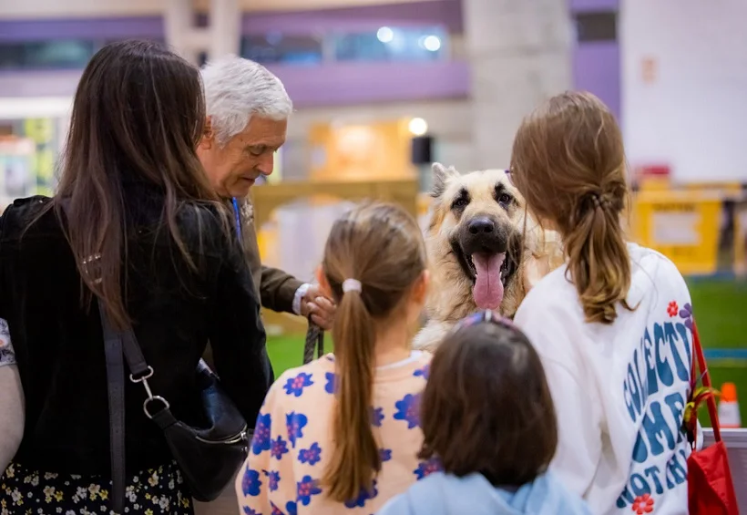 2026年葡萄牙宠物展门票购买途径？怎么购票？