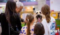 2026年葡萄牙宠物展门票购买途径?怎么购票?