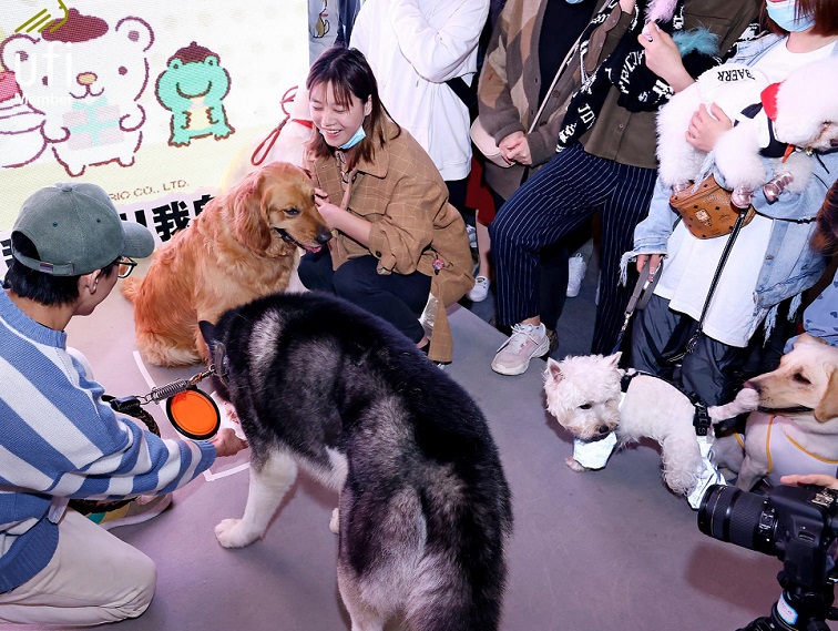 成都宠博会现场图片8