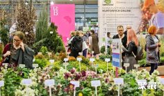 波兰园艺展2025门票哪里买