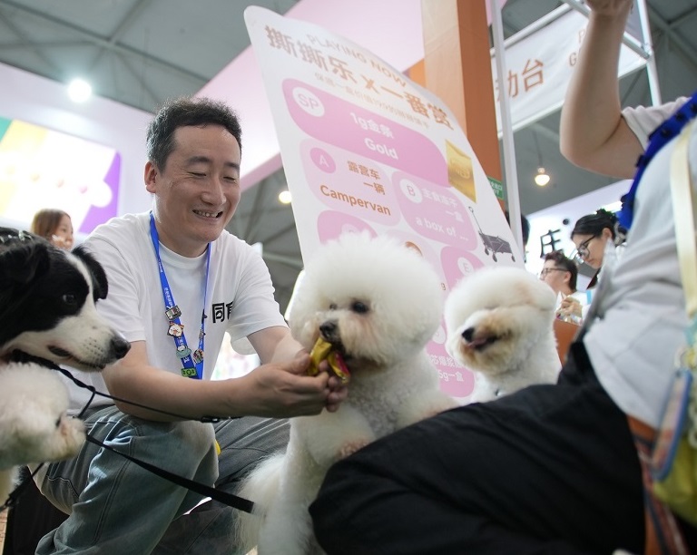 成都宠博会现场图片14