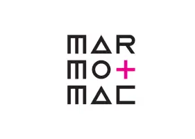 维罗纳石材展Logo