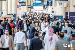 迪拜物业展现场图片1