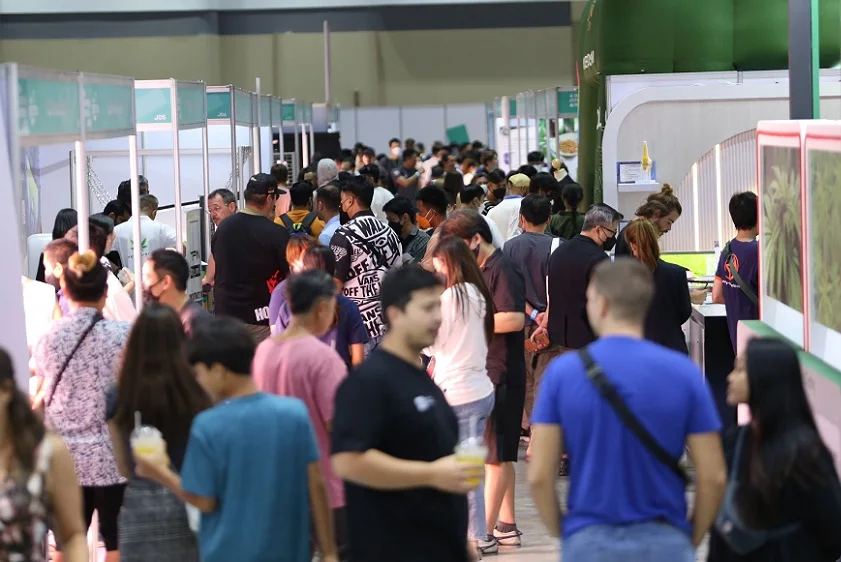 2024泰国曼谷大麻展11月27-30日举办，展位预定电话、门票购买！东南亚最大大麻展