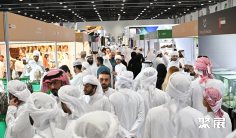 阿布扎比狩猎展2025参展攻略(时间地点+门票价格)