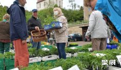 2025德国花卉园艺展门票怎么买