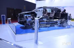 印度电池展现场图片3