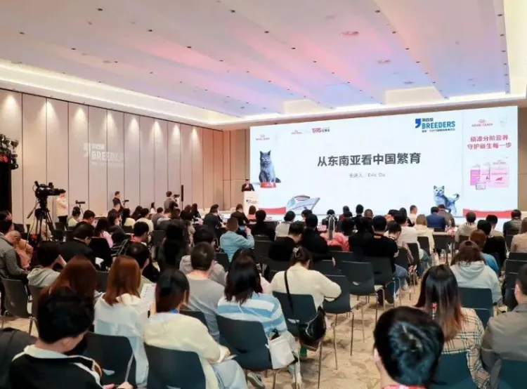 上海它博会