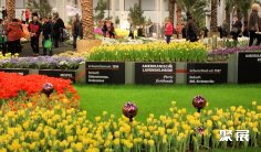 2027德国农业展 (Grüne Woche)观众预登记火热进行中