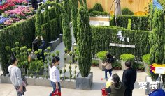 2025海宁园艺展展位费与展位图