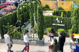 海宁园艺展现场图片4