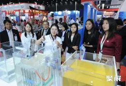 泰国锅炉展现场图片3