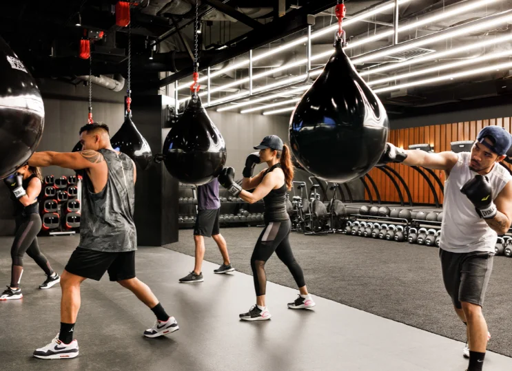 2025新加坡健身展最新参展商名录