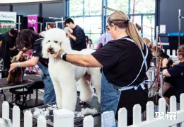 澳大利亚宠物用品展展会现场(现场盛况)3