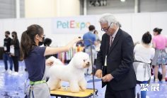 新加坡宠物用品展2025门票哪里买