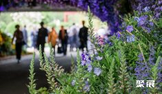 英国花卉展(RHS Chelsea Flower Show)2026举办时间与地点