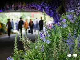 切尔西花展展会现场(现场盛况)4