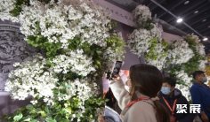 2026全国婚庆道具展(WFDF)展品范围