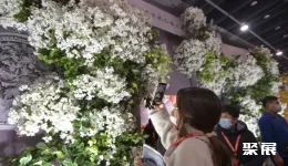 全国婚庆道具展现场图片7