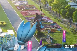 海宁园艺展现场图片2