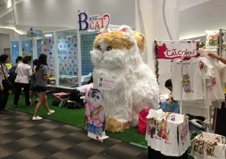 泰国曼谷猫展