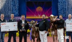 美国乳业展(WORLD DAIRY EXPO)2026展位费与展位预订