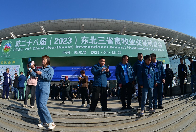 东三省家禽交易会展会现场(现场盛况)1