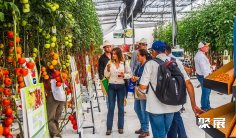 2025墨西哥农业机械展参展攻略(时间+地点+门票)