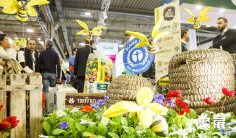 德国园艺展2026参展攻略(时间+地点+观众预约)