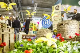 德国园艺展现场图片9