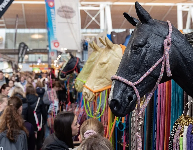 德国马术展2025参展攻略(时间地点+门票多少钱?)