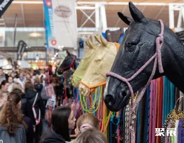 德国马术展现场图片7